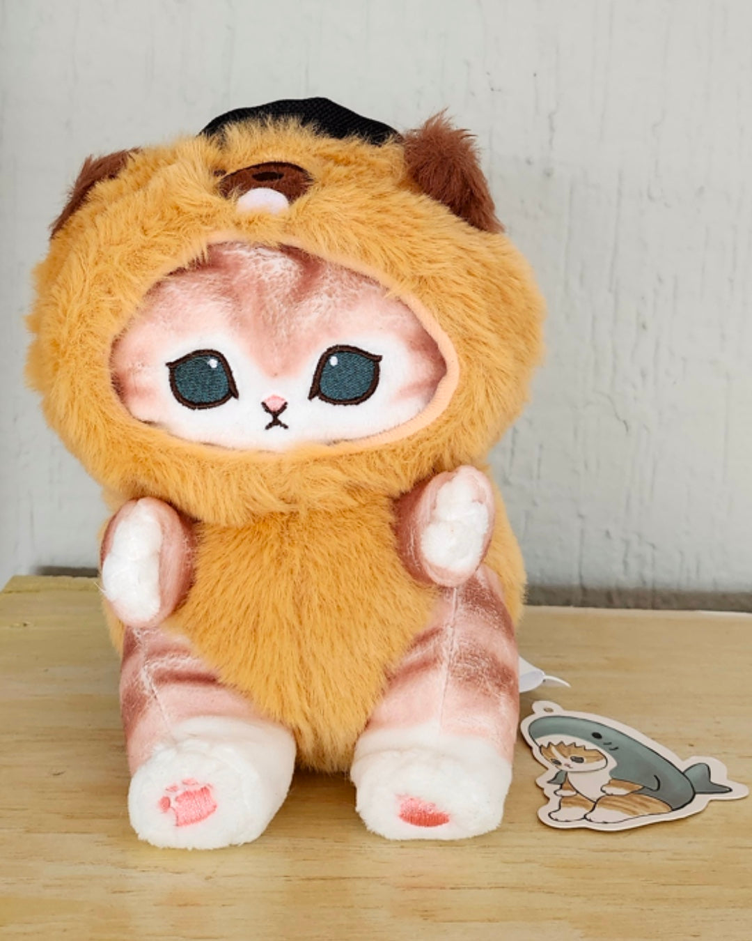Gato Castor