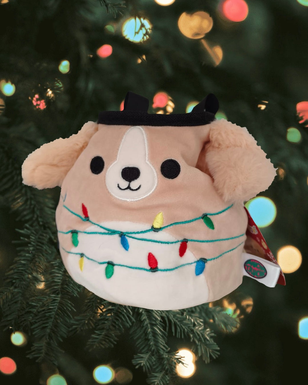 Perrito luz